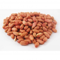 Peanut Raw Redskin VKJ 25kg