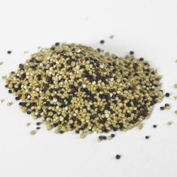 Quinoa Tricolour Blend 5kg