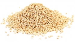 Quinoa Puffed Organic 4kg