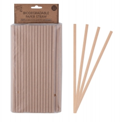 Eco Basics Biodegradable Paper Straw - 50pcs (6)